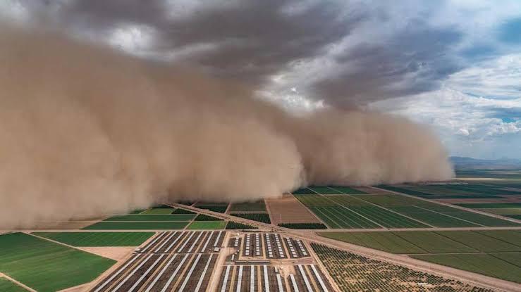 نصائح لحماية الأطفال أثناء العواصف الرملية: