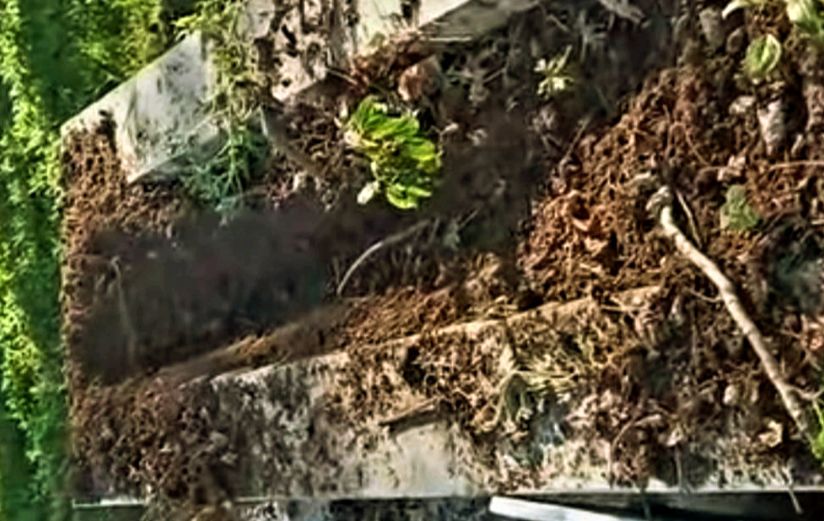 استنكار ديني جامع لنبش المقابر في عكار وتحذير من استهداف السلم الأهلي